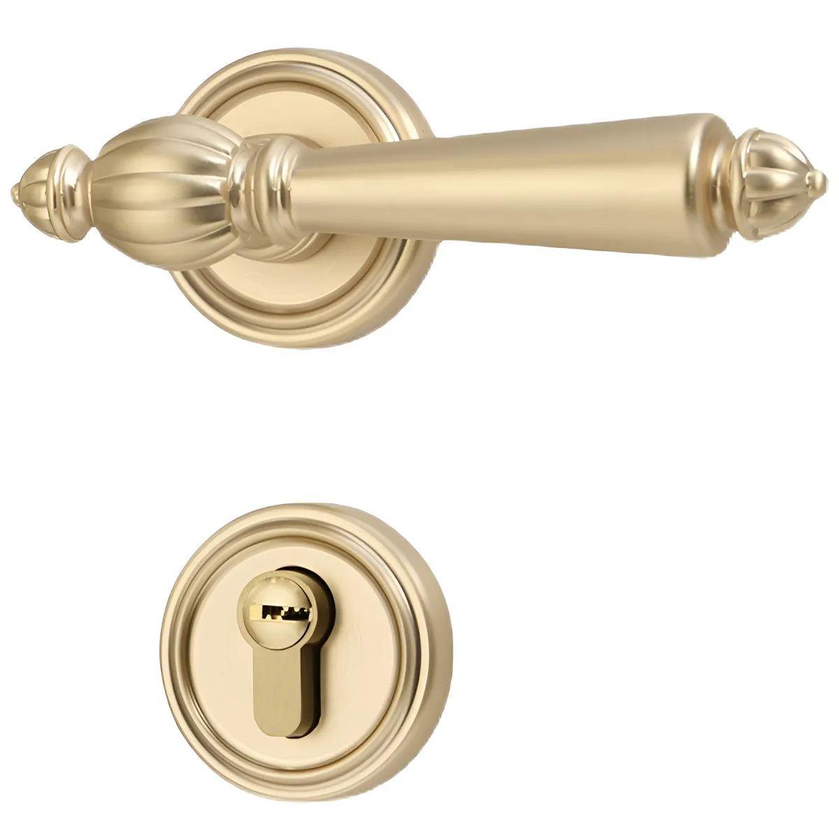 Antique Entrance & Front Door Handles with Lock