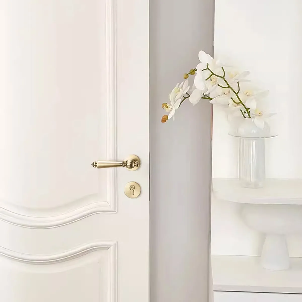 Antique Entrance & Front Door Handles with Lock
