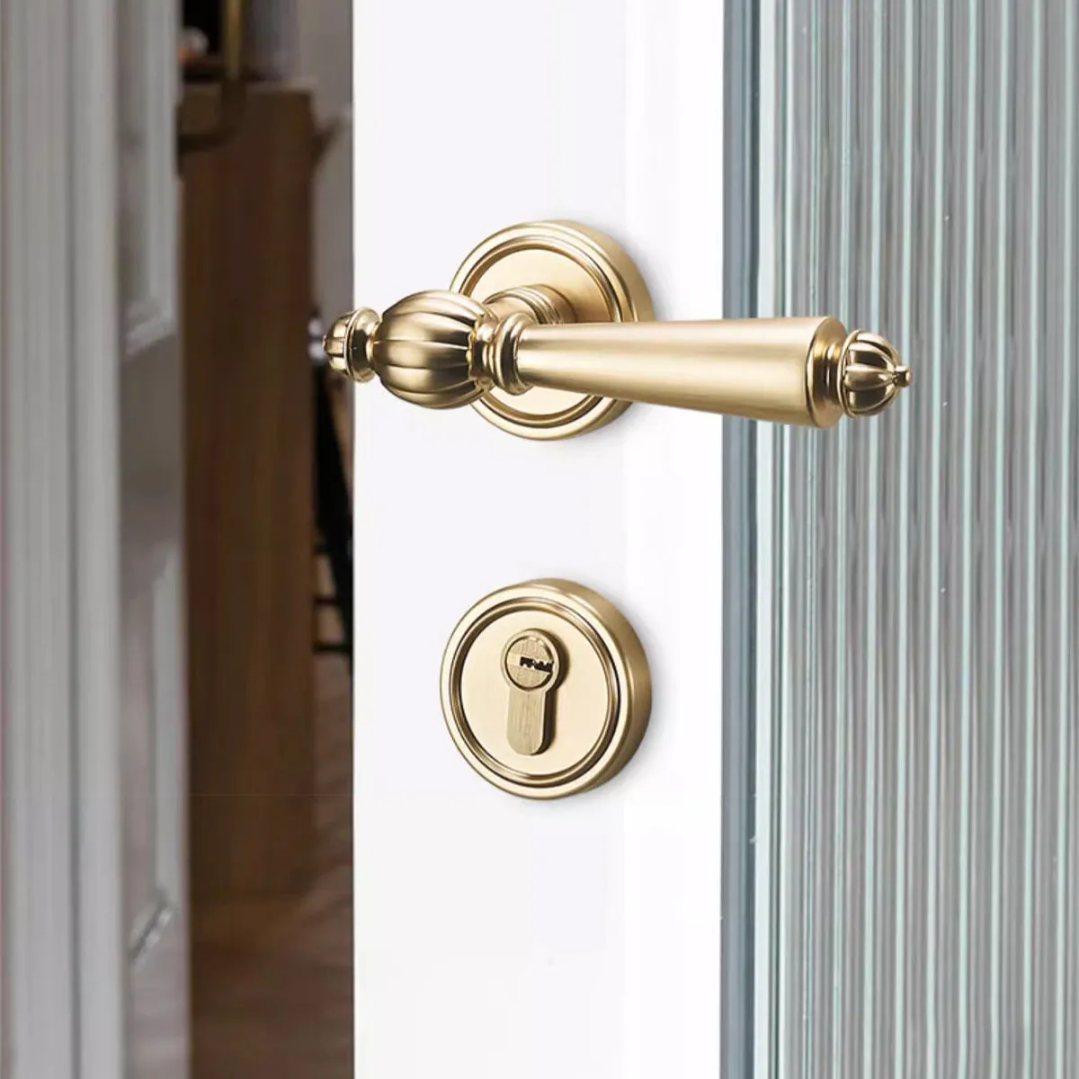 Antique Entrance & Front Door Handles with Lock