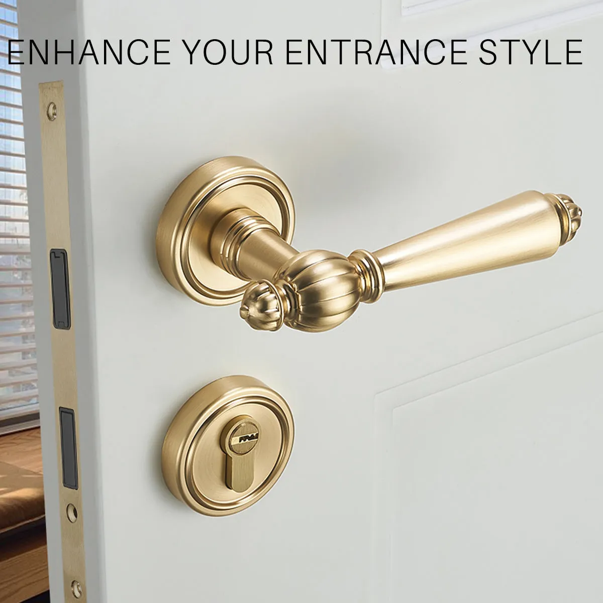Antique Entrance & Front Door Handles with Lock
