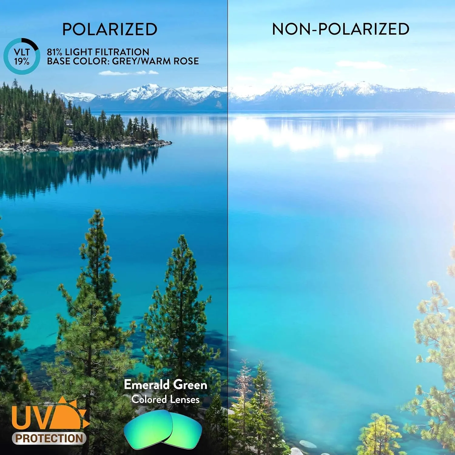 Apex Lenses Replacement Lenses for Quay Art School Sunglasses