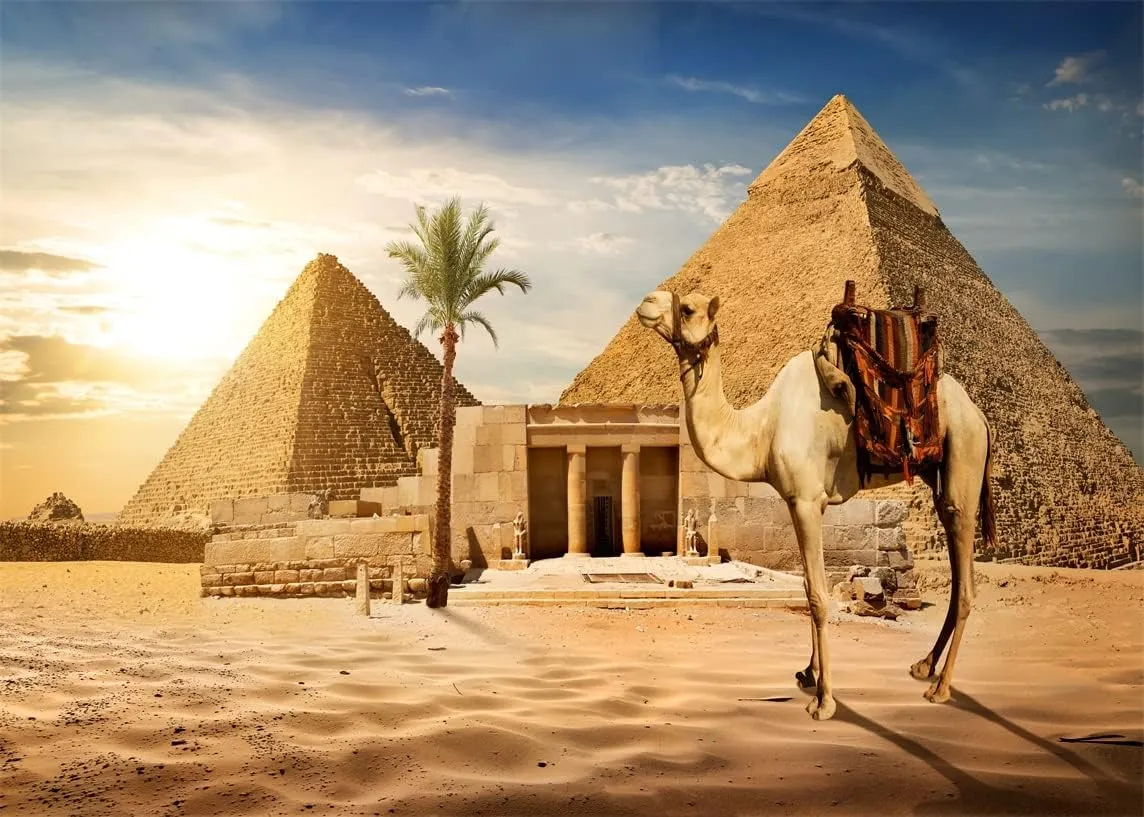 BELECO 10x8ft Fabric Egypt Pyramids Backdrop Photography Ancient Egyptian Pyramid Camel Backdrop Giza Desert Scene Coconut Tree Sunset Sky Scenery Egypt Party Supplies Studio Photo Shoot Props