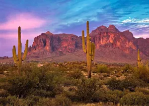 BELECO 15x8ft Fabric Arizona Desert Backdrop for Photography Western Party Decor Blue Sky Sand Dunes Prickly Cactus Saguaro Wilderness Mountain Background Cowboys Children Adult Portrait Photo Shoot