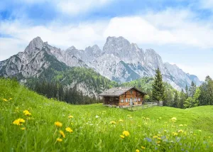 BELECO 7x5ft Fabric Alpine Mountain Cabin Backdrop Alps Green Hills Wooden Hut Grassland Forest Flowers Scenery Background Outdoor Hiking Travel Photo Portraits Video Studio Photo Props