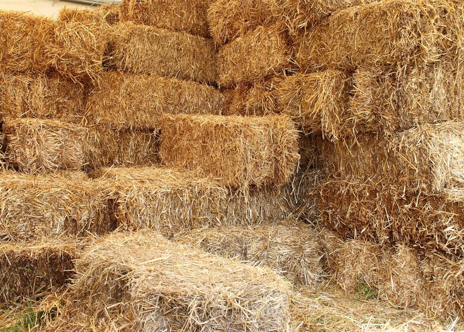 BELECO 7x5ft Fabric Farm Haystack Photography Backdrop Autumn Rural Barn Hay Bales Fall Harvest Backdrop Thanksgiving Day Party Decoration Straw Pile Party Supplies Kids Adults Portrait Photo Props