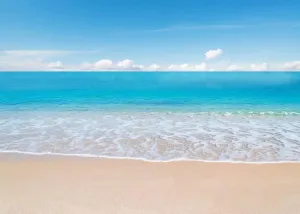 BELECO Tropical Beach Ocean Waves Backdrop 7x5ft Fabric Seaside Scenery Sand Beach Backdrop Luau Party Hawaiian Theme Photography Background Birthday Party Decor Wedding Photoshoot Studio Props