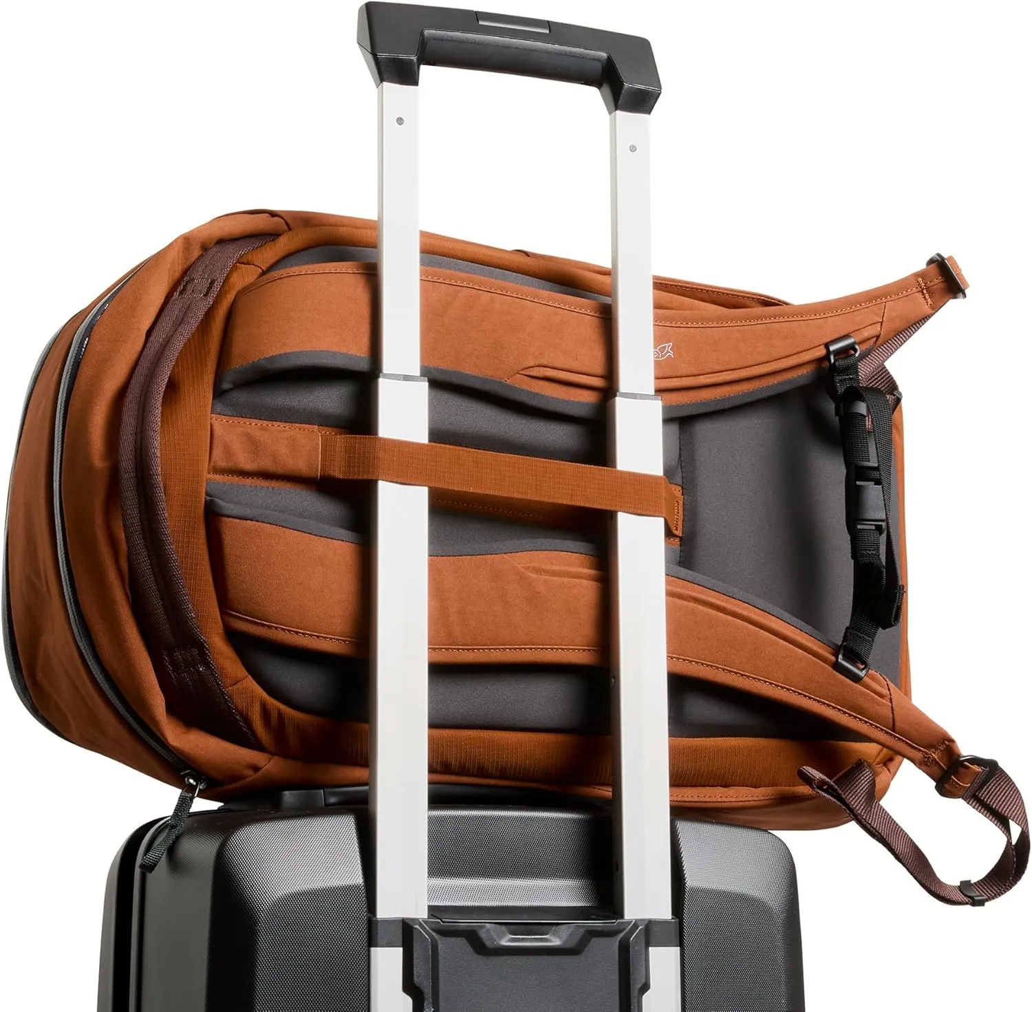 Bellroy Transit Workpack (26 liters, laptops up to 16”, tech accessories, gym gear, shoes, water bottle, daily essentials) - Bronze