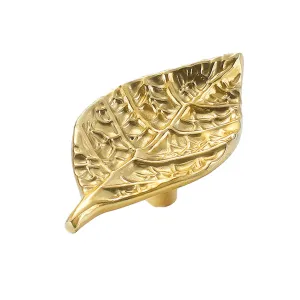 Brass Leaf Cabinet Knob | Artistic Knobs for Cabinets and Drawers