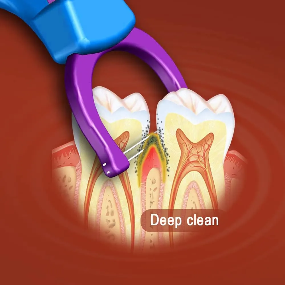 Evolutionary Clean Dental Flossers, Kit of Refills Plus Long Handle (2 Handles   200 Refills)