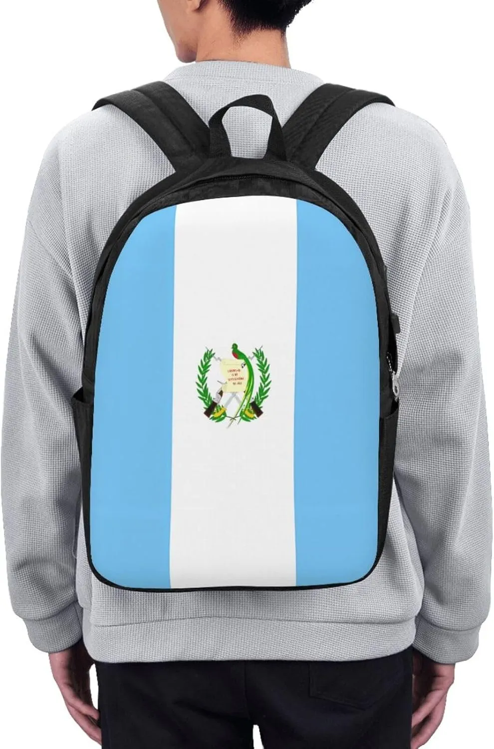 Guatemala Guatemalan Flag Laptop Backpacks Travel Backpack Casual Business Daypack Sport Rucksack Computer Bag Fits up to 17 Inch Notebook with USB Port
