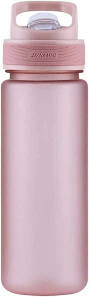 kettles Matte texture Plastic Water Bottle with Straw,Portable Sports Bottles BPA Free,Leakproof Cup Durable,for Fitness,Students Gift canteen(B,Small)