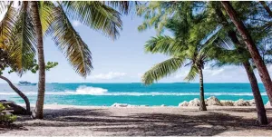 Laeacco 10x5ft Seaside Beach Backdrop Summer Holiday Photography Background Soft Beach Summer Tropical Trees Backdrops Island Sea Waves Palm Trees Props