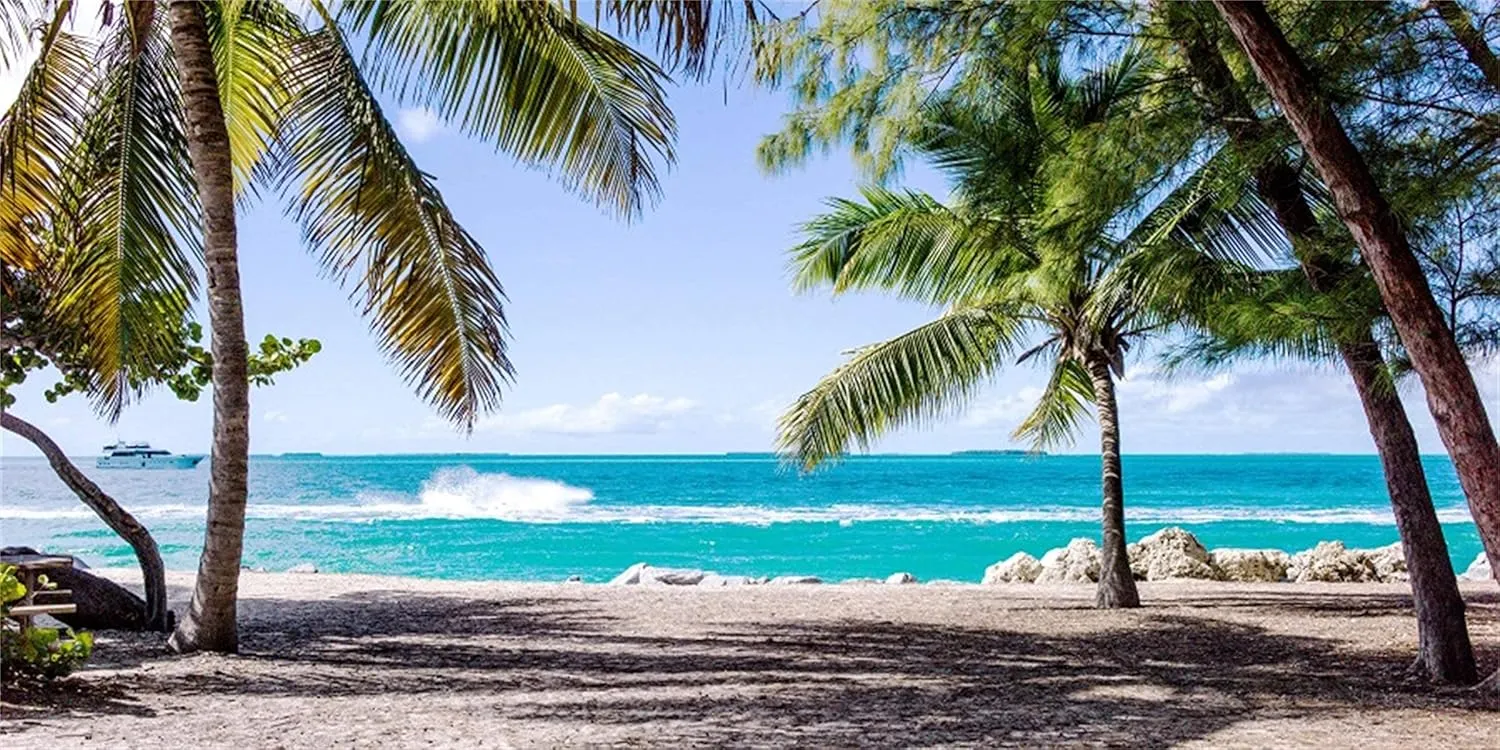 Laeacco 10x5ft Seaside Beach Backdrop Summer Holiday Photography Background Soft Beach Summer Tropical Trees Backdrops Island Sea Waves Palm Trees Props