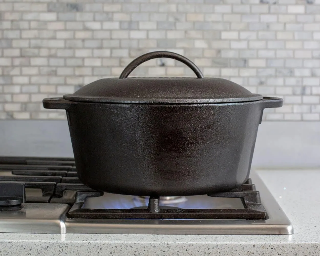 Lodge L8DOL3 Cast Iron Dutch Oven with Dual Handles, Pre-Seasoned, 5-Quart
