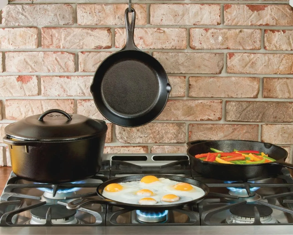 Lodge L8DOL3 Cast Iron Dutch Oven with Dual Handles, Pre-Seasoned, 5-Quart