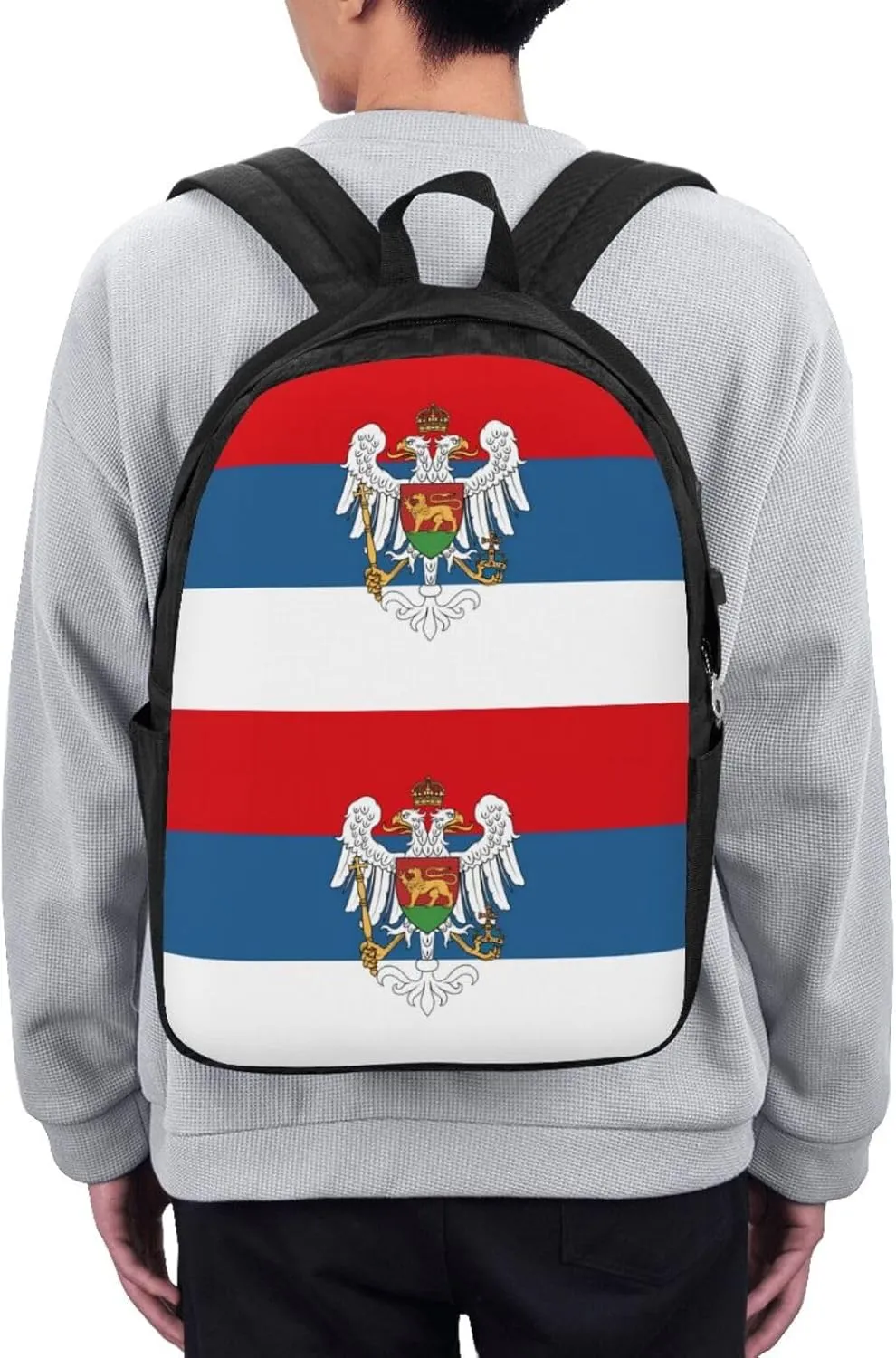 Montenegro Flag Travel Backpack 17-Inch Laptop Backpacks Business Rucksack Casual Sport Daypack with USB Charging Port Carry-on Bag for Camping Biking