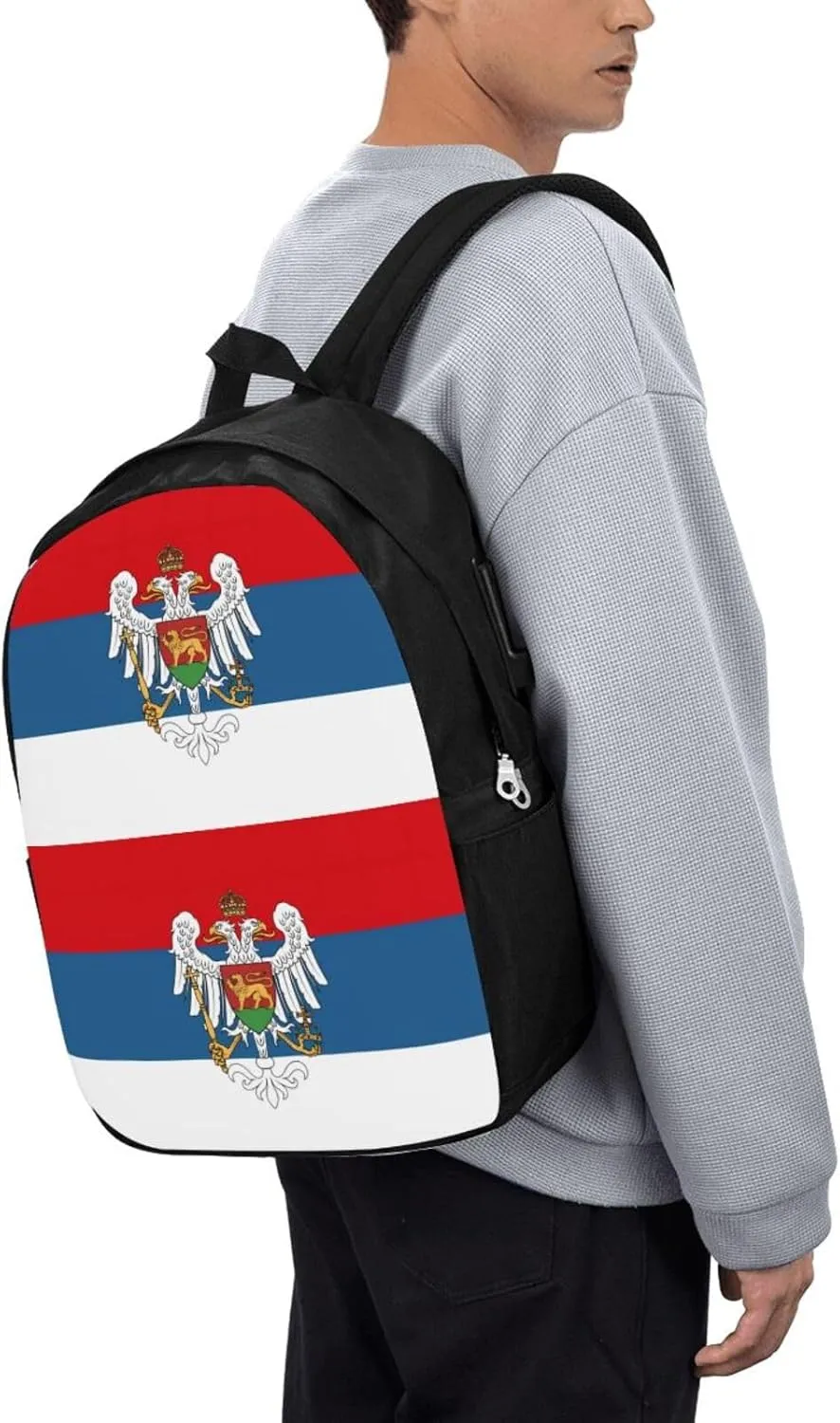 Montenegro Flag Travel Backpack 17-Inch Laptop Backpacks Business Rucksack Casual Sport Daypack with USB Charging Port Carry-on Bag for Camping Biking