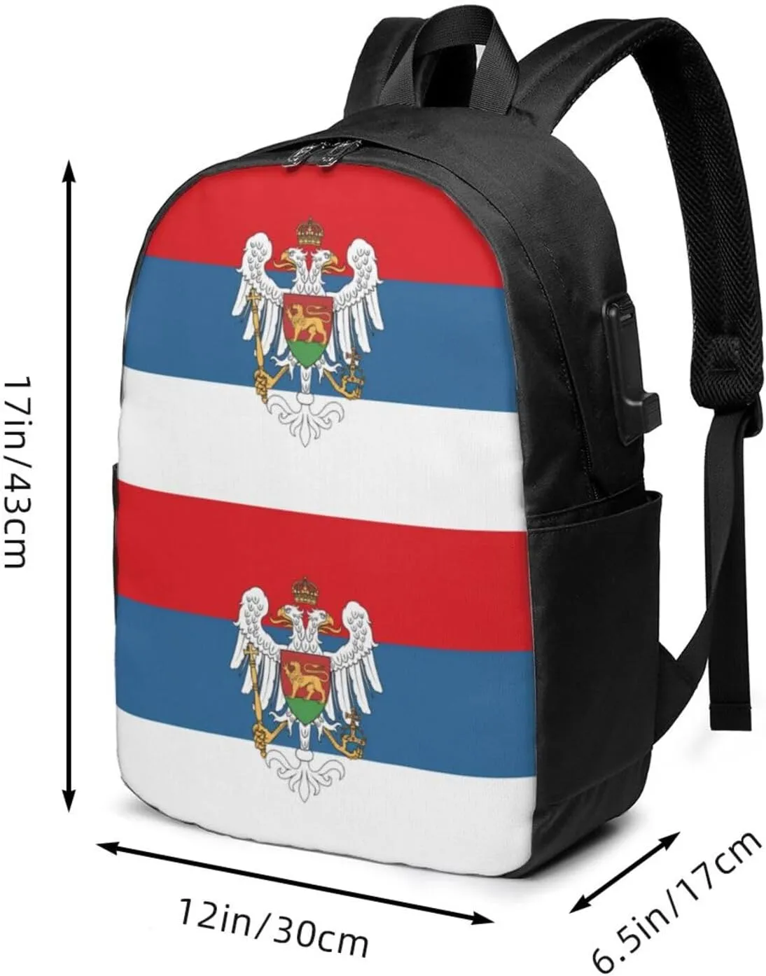 Montenegro Flag Travel Backpack 17-Inch Laptop Backpacks Business Rucksack Casual Sport Daypack with USB Charging Port Carry-on Bag for Camping Biking