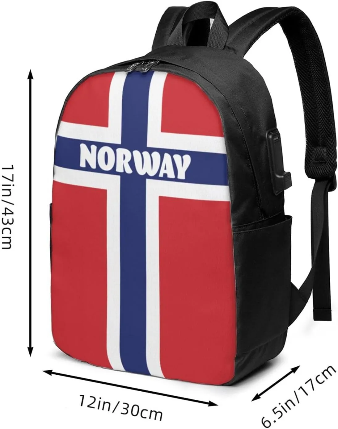 Norwegian Norway Flag Laptop Backpacks Travel Backpack Casual Business Daypack Sport Rucksack Computer Bag Fits up to 17 Inch Notebook with USB Port