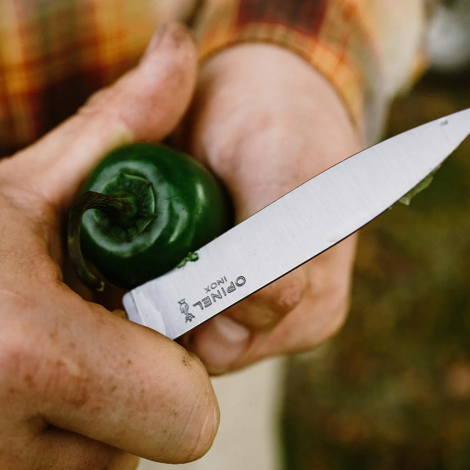 OPINEL Essential No.112 Paring Knife, Plain Edge, Hornbeam Handles, Made in France (Blue)