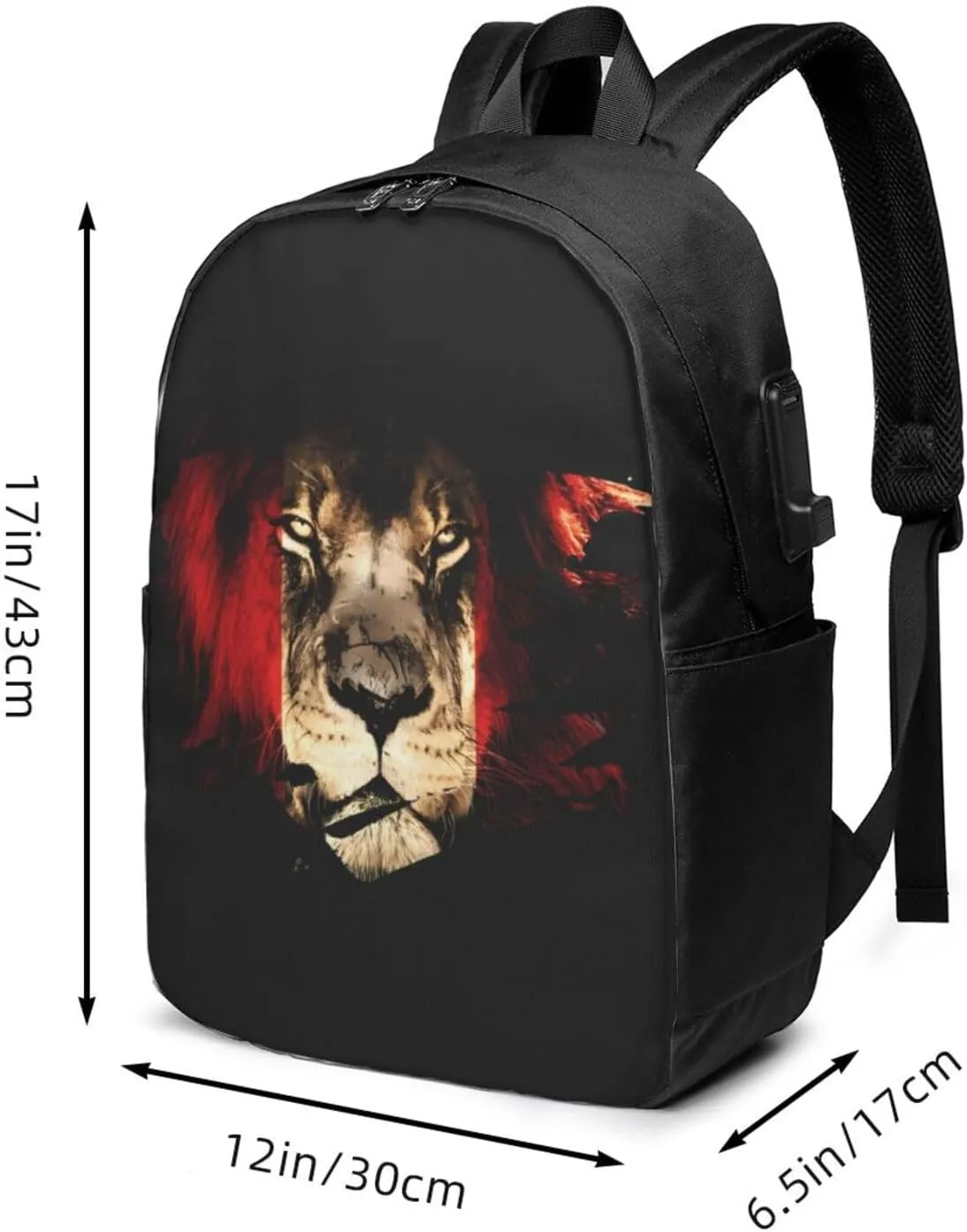 Peruvian Peru Flag African Lion Laptop Backpacks Travel Backpack Casual Business Daypack Sport Rucksack Computer Bag Fits up to 17 Inch Notebook with USB Port