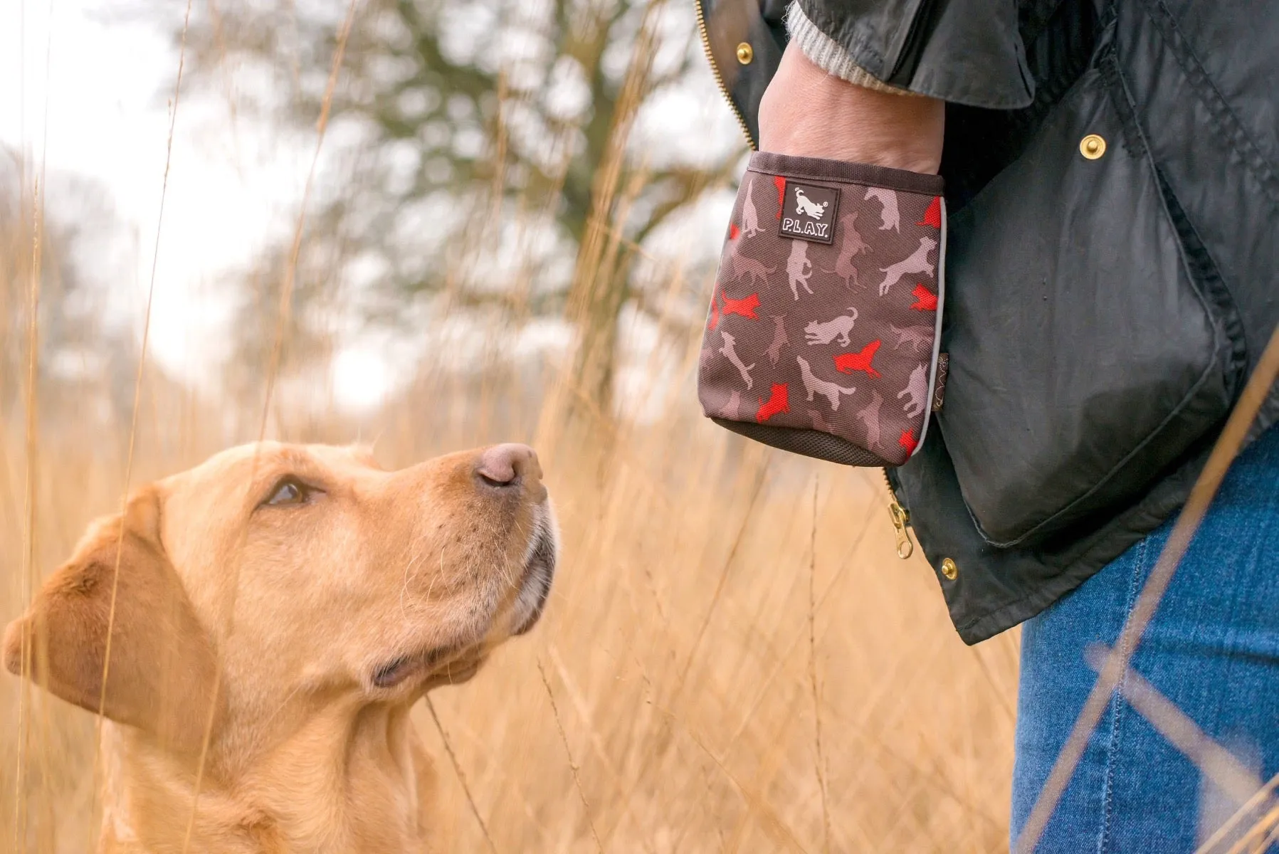 P.L.A.Y Compact Training Treat Pouch
