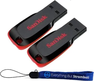 SanDisk Cruzer Blade 128GB (2 Pack) USB 2.0 Flash Drive Jump Drive Pen Drive SDCZ50-128G - w/ (1) Everything But Stromboli (tm) Lanyard