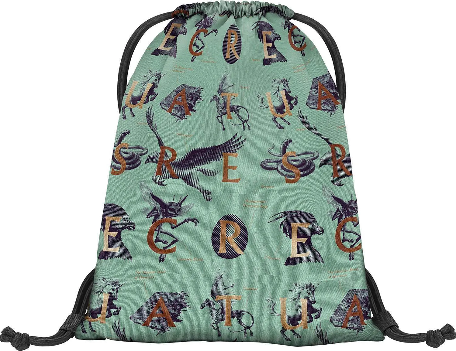 School set Core Harry Potter Fantastic Beasts