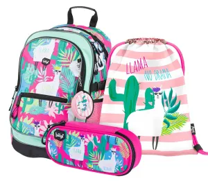 School set Core Llamas