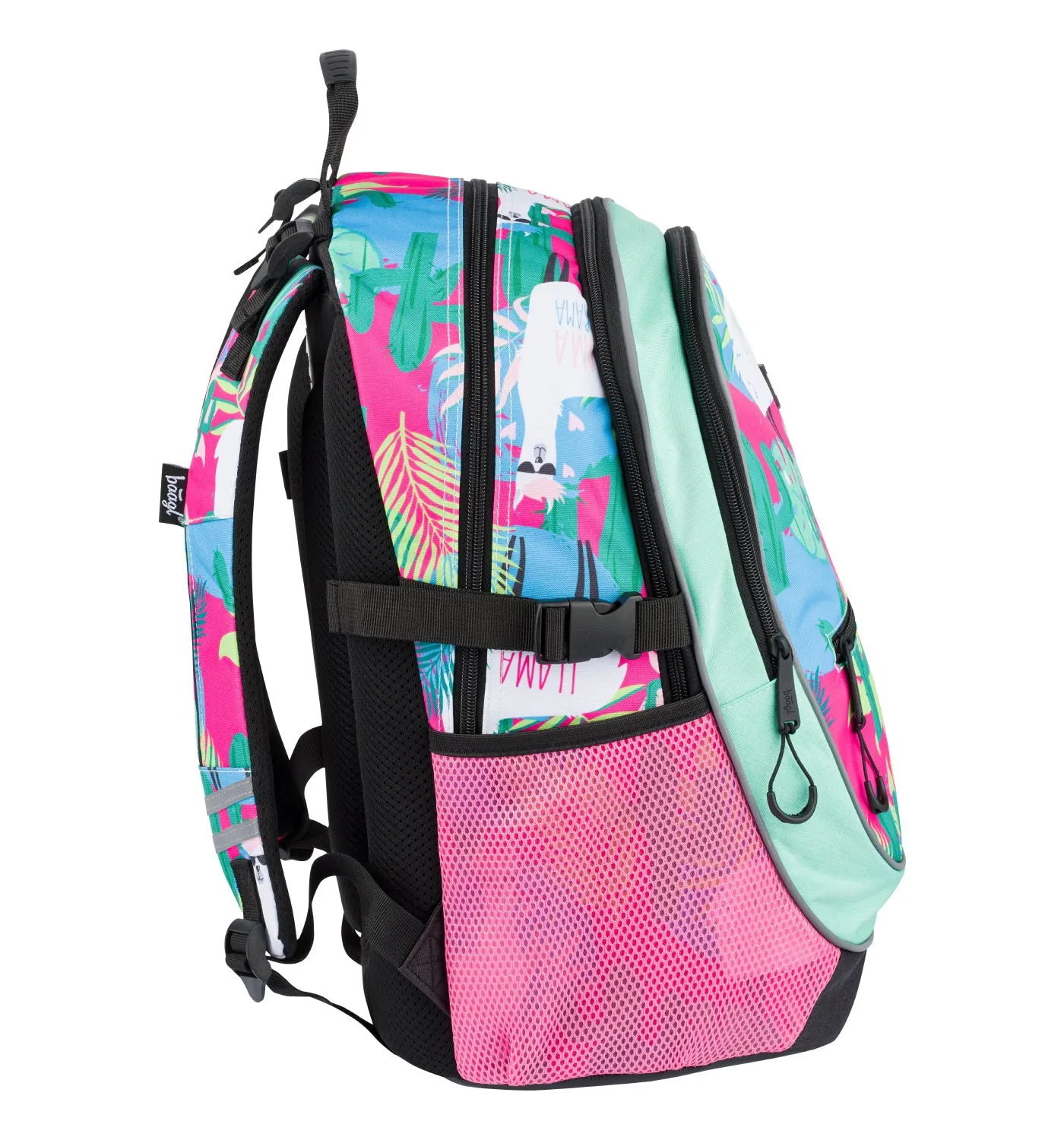 School set Core Llamas