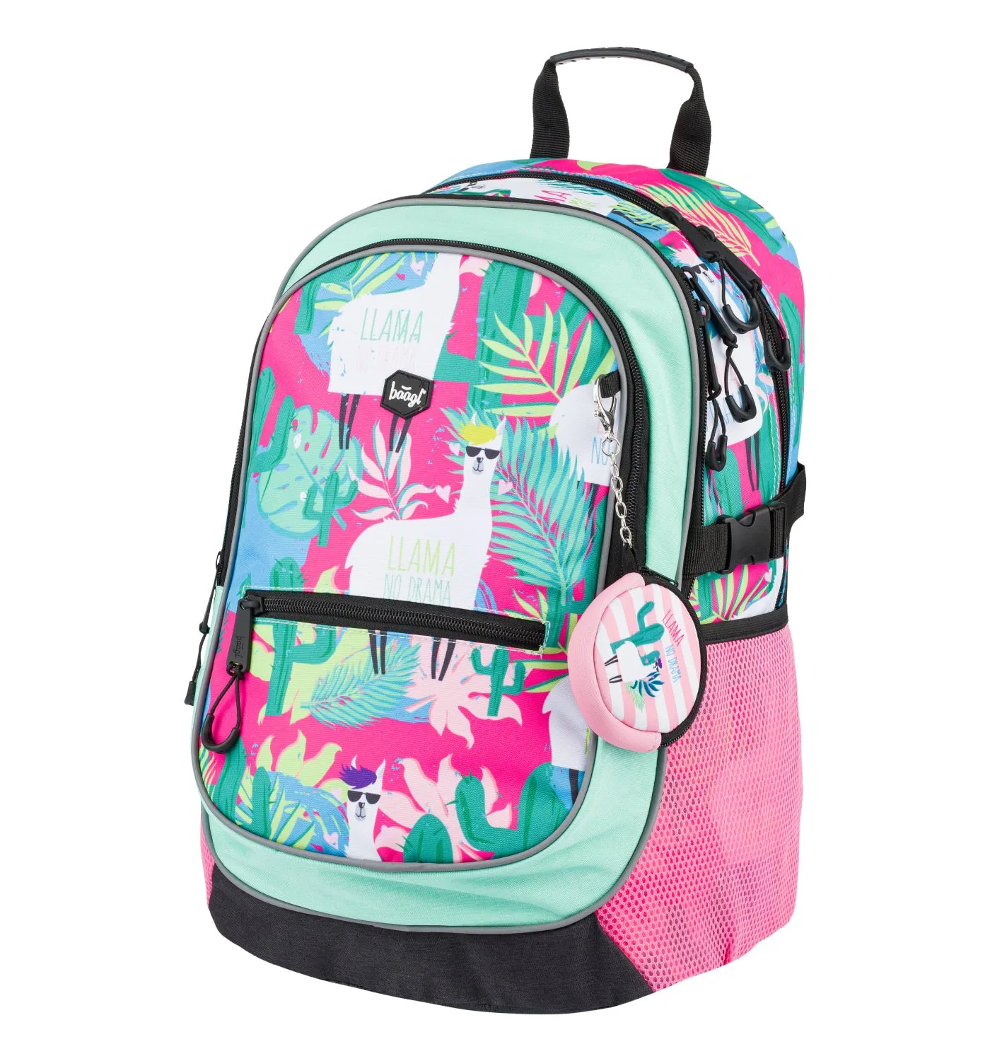 School set Core Llamas