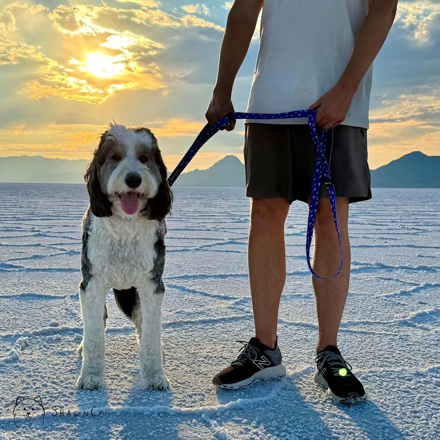 ShawnCo Dream Walk Dog Leash- Premium, Nylon Pet Leash with Soft Neoprene Handle for Small, Medium and Large Dogs (Pacific Blue, M/L 6FT w/ 2 Handles)
