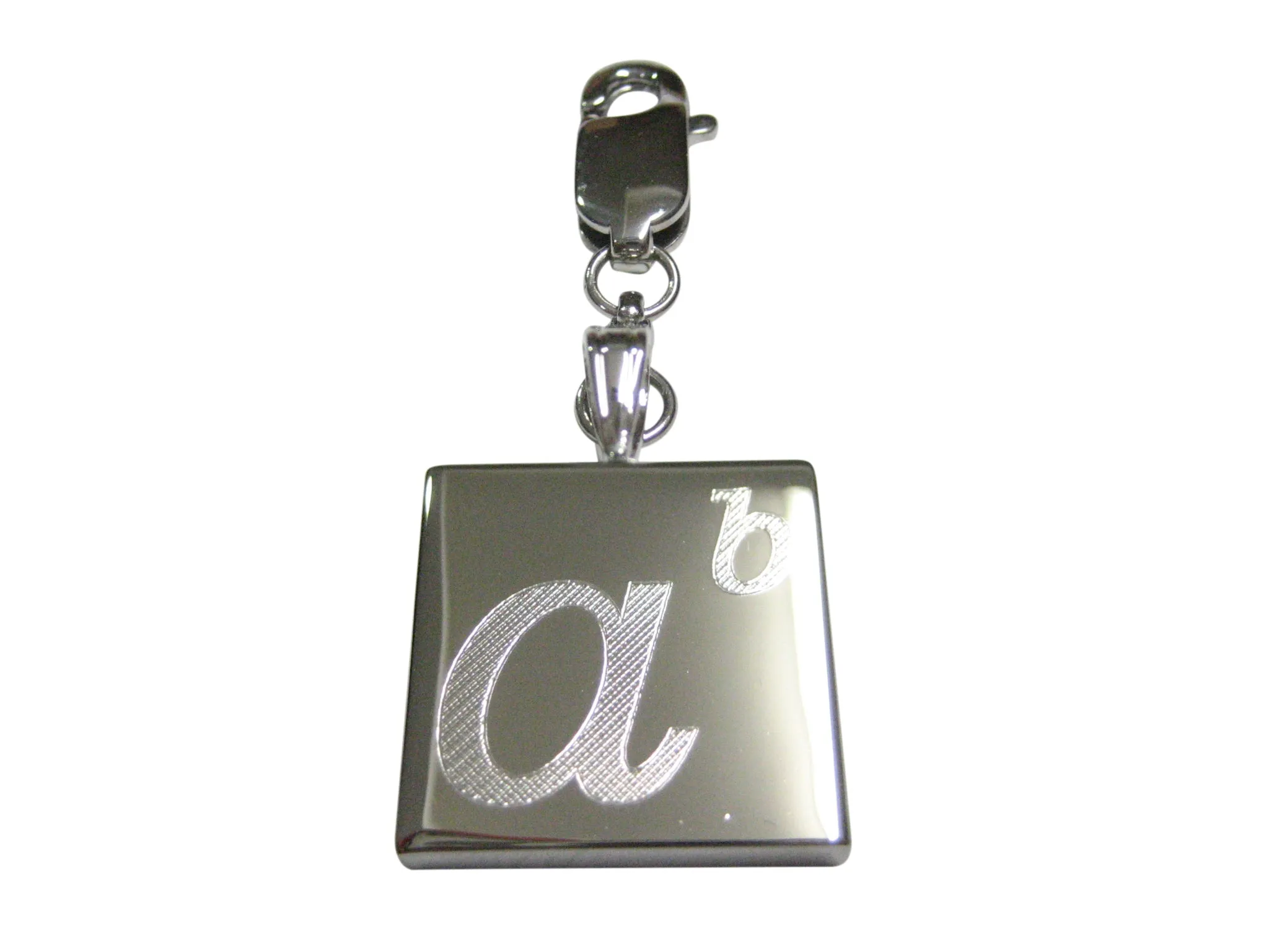 Silver Toned Etched Mathematical A to the Power of B Pendant Zipper Pull Charm