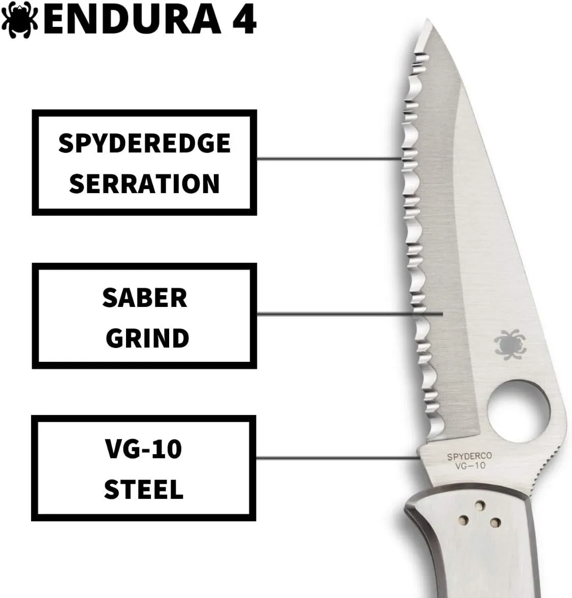 Spyderco Endura 4 Signature Folder Utility Knife with 3.85" VG-10 Steel Blade and Stainless Steel Handle - SpyderEdge - C10S