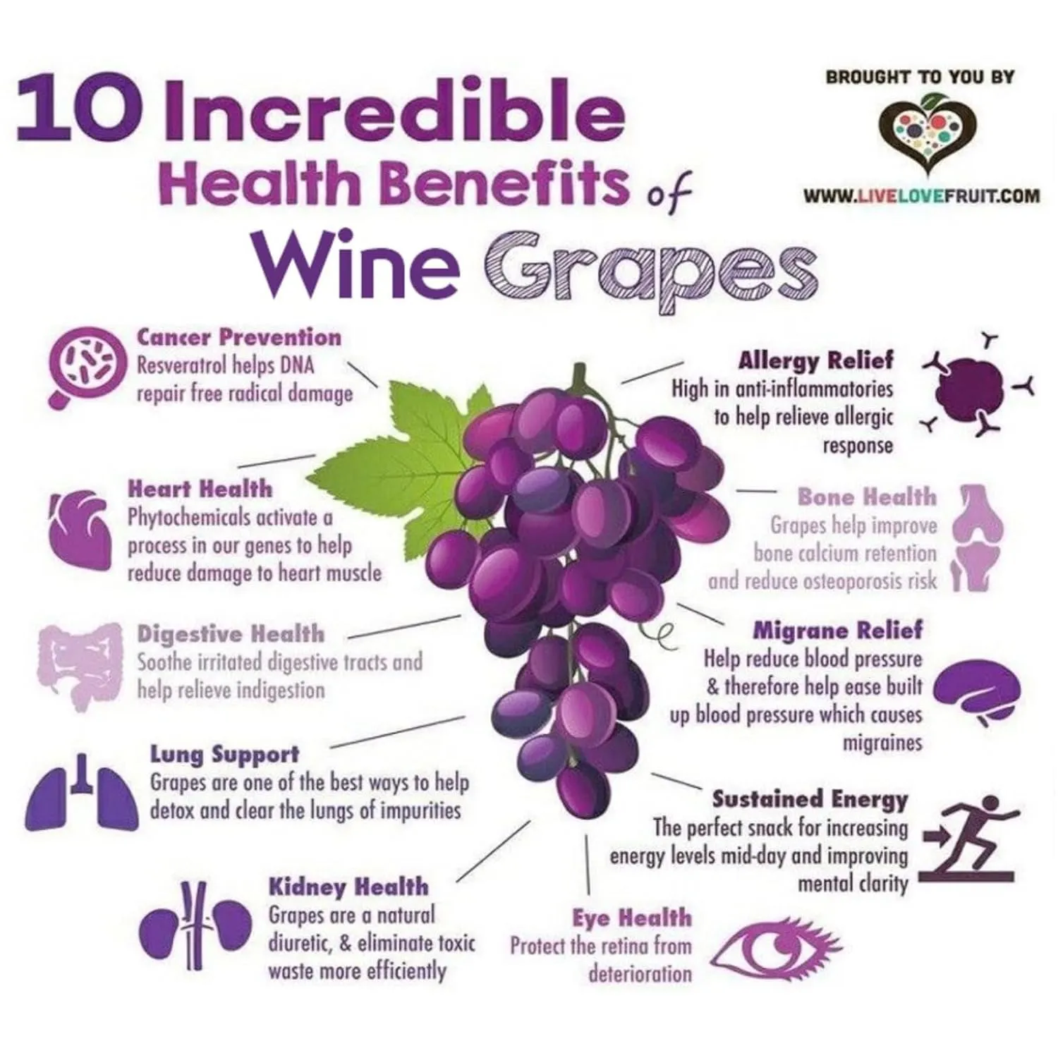 Wine RayZyn® CabernayZyn® | Nature's Most Antioxidant-Rich Superfood for a Healthy Heart and Life | Made from Dried California Cabernet Wine Raisins®| Alcohol-Free with the Health Benefits of a Glass of Wine | Healthy Raisin (Pack of 12)