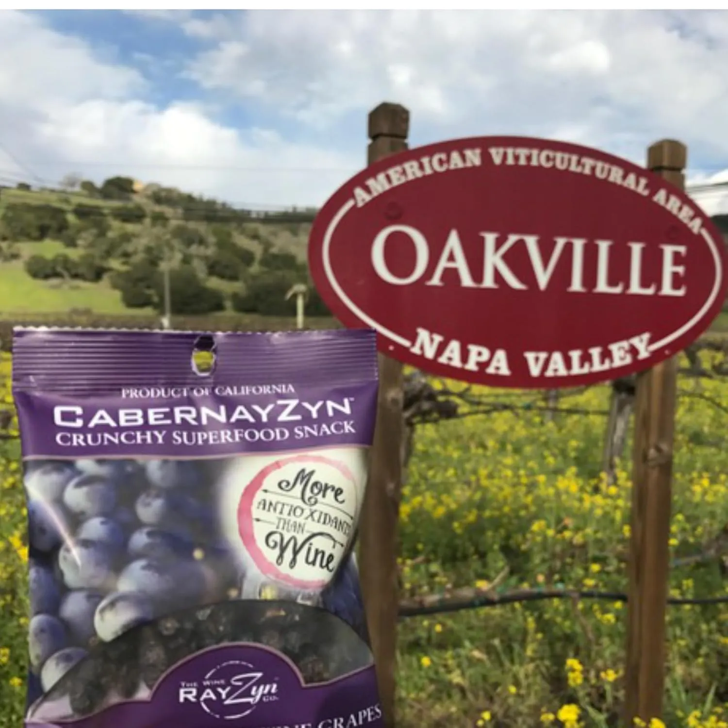 Wine RayZyn® CabernayZyn® | Nature's Most Antioxidant-Rich Superfood for a Healthy Heart and Life | Made from Dried California Cabernet Wine Raisins®| Alcohol-Free with the Health Benefits of a Glass of Wine | Healthy Raisin (Pack of 12)